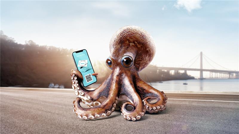 Cartão Seguro Directo a ser utilizado por um polvo, numa alusão às situações mais improváveis que acontecem no dia a dia